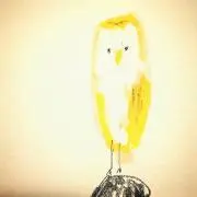 TORIKO  【プロフご一読ください】の画像