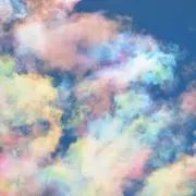 ʕ•̫͡•ʕ•̫͡•ʔ•̫͡•ʔの画像