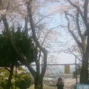 あっちゃん☆土日祝発送不可の画像