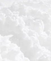 羽の画像