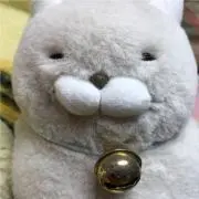 とよちの画像