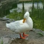ted☆突然購入しないでね♪