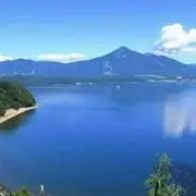 ララの画像