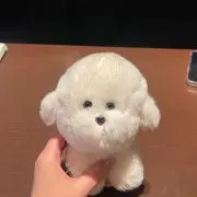 ymの画像