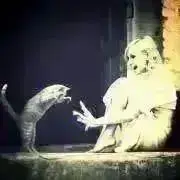 kt＊プロフご一読くださいm(_ _)mの画像