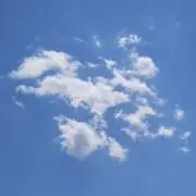 はこふぐの親の画像