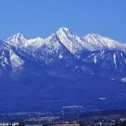 Alfの画像