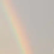 あずきの画像