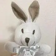 kanの画像
