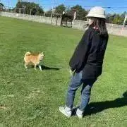 miの画像