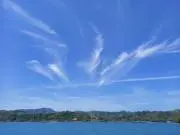 すーさんの画像