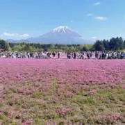 あいの画像