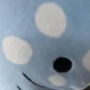 るるの画像