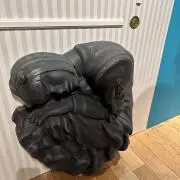 ライオンの画像