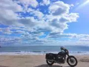 yamaの画像