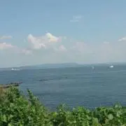 はなこ