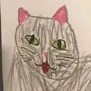 にゃんこの画像