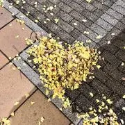 在庫確認お願いします。の画像