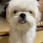 あ