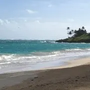 moana⭐︎の画像