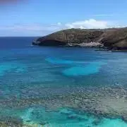 cyam Hの画像