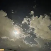 7の画像