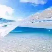 Rzの画像