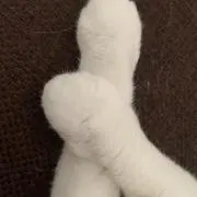 nao1120