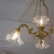 t_nynの画像