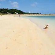 たんかん
