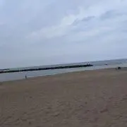 ミハナ 即購入〇の画像