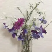 hanaの画像