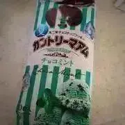 チョコミント(プロフ必読)