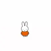 ずんこの画像