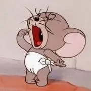 Rちゃんの画像