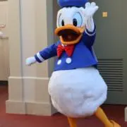 あちゃの画像