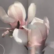 77の画像