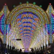 むかいのトトロの画像