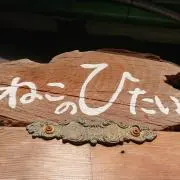 ねこのひたいの画像