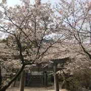 ji-go.nty