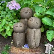 haruの画像