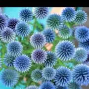 Flowerの画像
