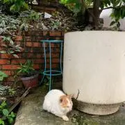 maの画像