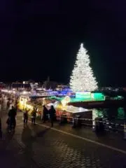 フェルマータの画像