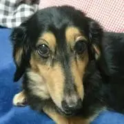 Neoの画像