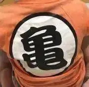 ピロの画像
