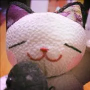ぴろの画像
