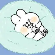 ぴよこの画像
