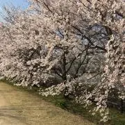 もーりーの画像