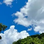 あおの画像